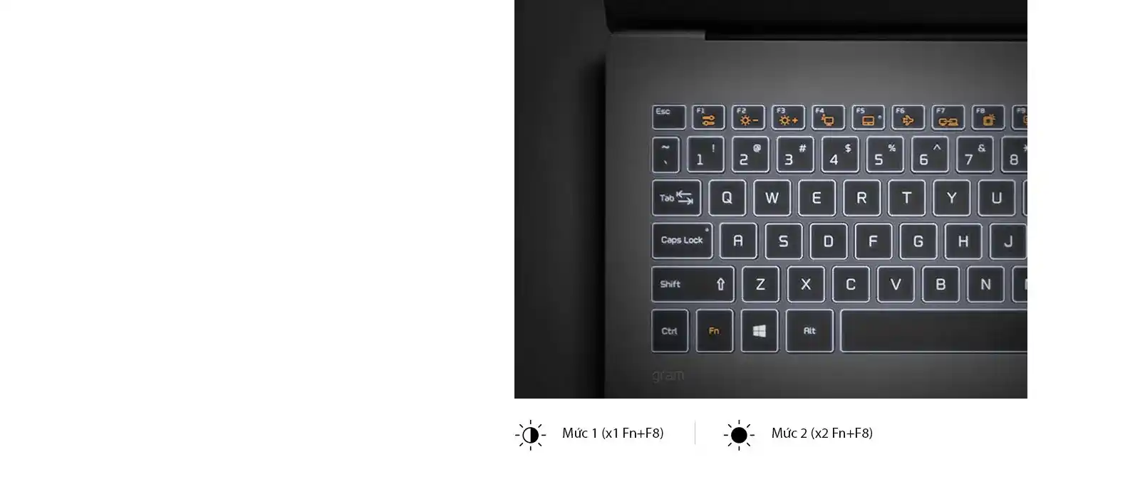 gram 17Z90N DS 12 Backlit Keyboard D