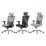 SIHOO M57 Ergonomic Office Chair
