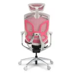 GTChair Dvary Butterfly Ergonomic Chair