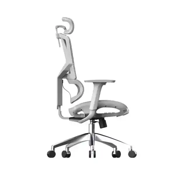 SIHOO M90C Ergonomic Office Chair 2 SIHOO M90C Ergonomic Office Chair - Ảnh 2