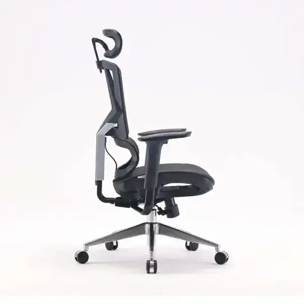 SIHOO M90C Ergonomic Office Chair 3 SIHOO M90C Ergonomic Office Chair - Ảnh 3