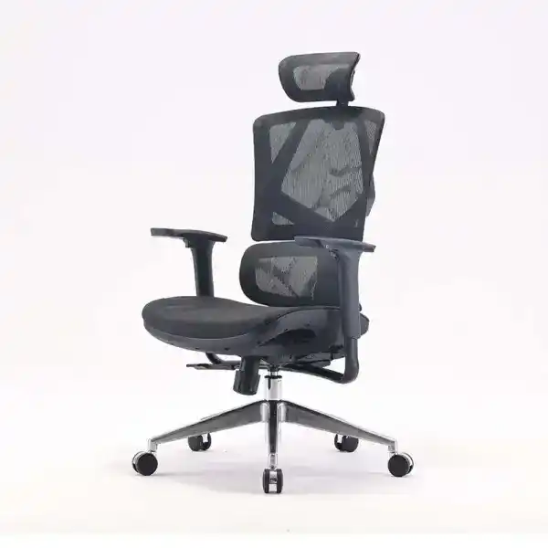 SIHOO M90C Ergonomic Office Chair 5 SIHOO M90C Ergonomic Office Chair - Ảnh 5