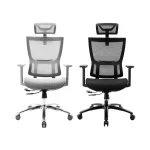 Warrior Hero Series WEC506 Ergonomic Chair