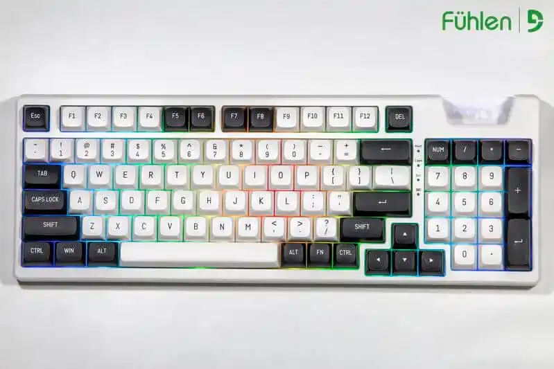 FUHLEN H95S RGB Panda Gaming Keyboard - 3 mode, Gasket mount, Hot swap, mạch xuôi 2 FUHLEN H95S RGB Panda Gaming Keyboard - 3 mode, Gasket mount, Hot swap, mạch xuôi - Ảnh 2