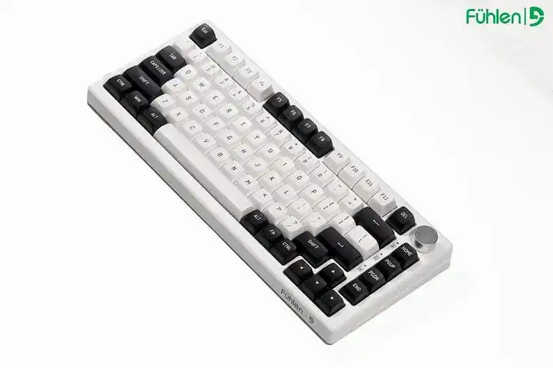 FUHLEN H75S RGB Panda Gaming Keyboard - 3 mode, Gasket mount, Hot swap, mạch xuôi 7 FUHLEN H75S RGB Panda Gaming Keyboard - 3 mode, Gasket mount, Hot swap, mạch xuôi - Ảnh 7