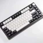 FUHLEN H75S RGB Panda Gaming Keyboard - 3 mode, Gasket mount, Hot swap, mạch xuôi 17 Fuhlen H75S RGB panda ttd 13