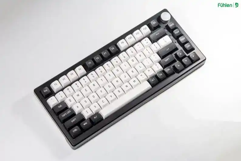 FUHLEN H75S RGB Panda Gaming Keyboard - 3 mode, Gasket mount, Hot swap, mạch xuôi 4 FUHLEN H75S RGB Panda Gaming Keyboard - 3 mode, Gasket mount, Hot swap, mạch xuôi - Ảnh 4