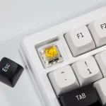 FUHLEN H75S RGB Panda Gaming Keyboard - 3 mode, Gasket mount, Hot swap, mạch xuôi 15 Fuhlen H75S RGB panda ttd 15