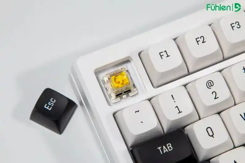 FUHLEN H75S RGB Panda Gaming Keyboard - 3 mode, Gasket mount, Hot swap, mạch xuôi 2 FUHLEN H75S RGB Panda Gaming Keyboard - 3 mode, Gasket mount, Hot swap, mạch xuôi - Ảnh 2