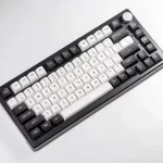 FUHLEN H75S RGB Panda Gaming Keyboard - 3 mode, Gasket mount, Hot swap, mạch xuôi 25 Fuhlen H75S RGB panda ttd 5