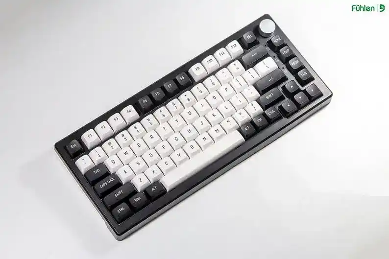 FUHLEN H75S RGB Panda Gaming Keyboard - 3 mode, Gasket mount, Hot swap, mạch xuôi 12 FUHLEN H75S RGB Panda Gaming Keyboard - 3 mode, Gasket mount, Hot swap, mạch xuôi - Ảnh 12