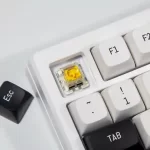 FUHLEN H75S RGB Panda Gaming Keyboard - 3 mode, Gasket mount, Hot swap, mạch xuôi 24 Fuhlen H75S RGB panda ttd 6