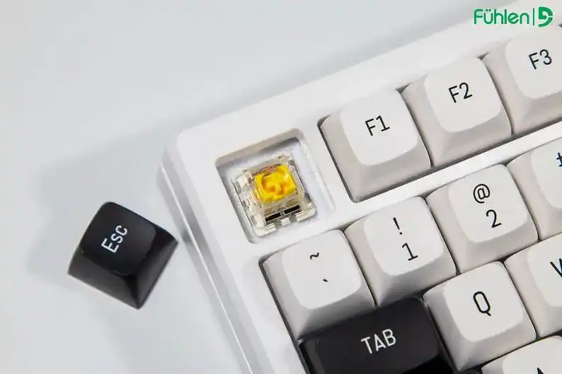 FUHLEN H75S RGB Panda Gaming Keyboard - 3 mode, Gasket mount, Hot swap, mạch xuôi 11 FUHLEN H75S RGB Panda Gaming Keyboard - 3 mode, Gasket mount, Hot swap, mạch xuôi - Ảnh 11