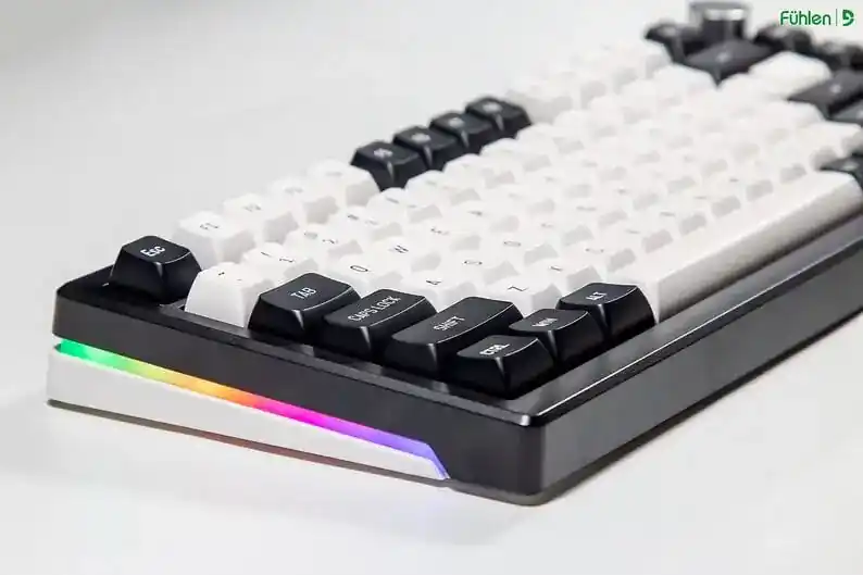 FUHLEN H75S RGB Panda Gaming Keyboard - 3 mode, Gasket mount, Hot swap, mạch xuôi 10 FUHLEN H75S RGB Panda Gaming Keyboard - 3 mode, Gasket mount, Hot swap, mạch xuôi - Ảnh 10