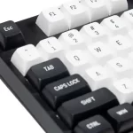 FUHLEN H75S RGB Panda Gaming Keyboard - 3 mode, Gasket mount, Hot swap, mạch xuôi 22 Fuhlen H75S RGB panda ttd 8