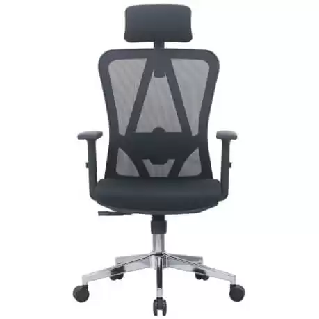 E-Dra EEC213 Black Ergonomic Office Chair