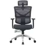 E-Dra EEC214 Black Ergonomic Office Chair