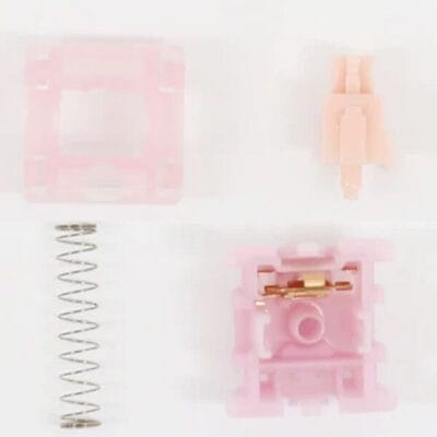 Gateron X Swagkey Switch Pure Berry TTD 4
