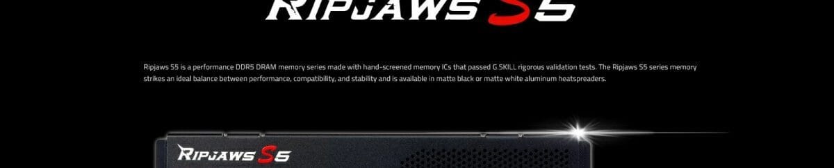 Ripjaws S5 page 4 1