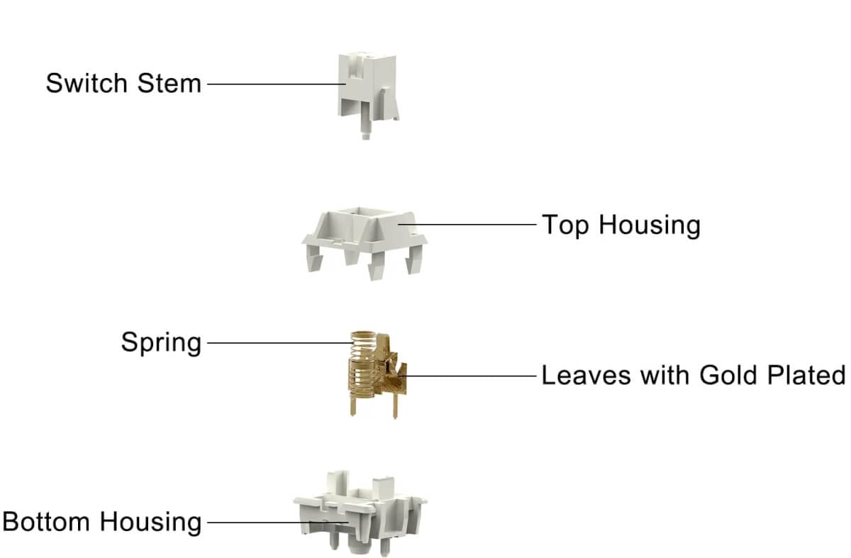 WS Switch Structure