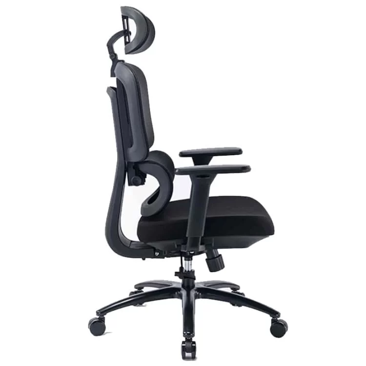 Warrior Hero Series WEC509 Ergonomic Chair 3 Warrior Hero Series WEC509 Ergonomic Chair - Ảnh 3