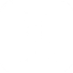 1841881 am5 icon 250x250 1