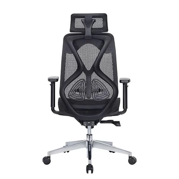 E-Dra EEC227 Black Ergonomic Office Chair 3 E-Dra EEC227 Black Ergonomic Office Chair - Ảnh 3