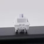WS Switch Mondari TTD 2