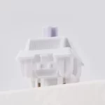 WS Switch Mondari TTD 5