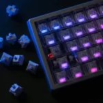 WS Switch Mondari TTD 6