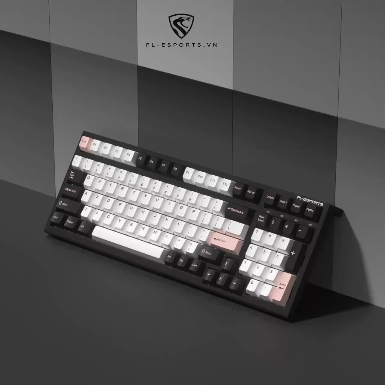 ban phim fl esports f100 white olivia 2