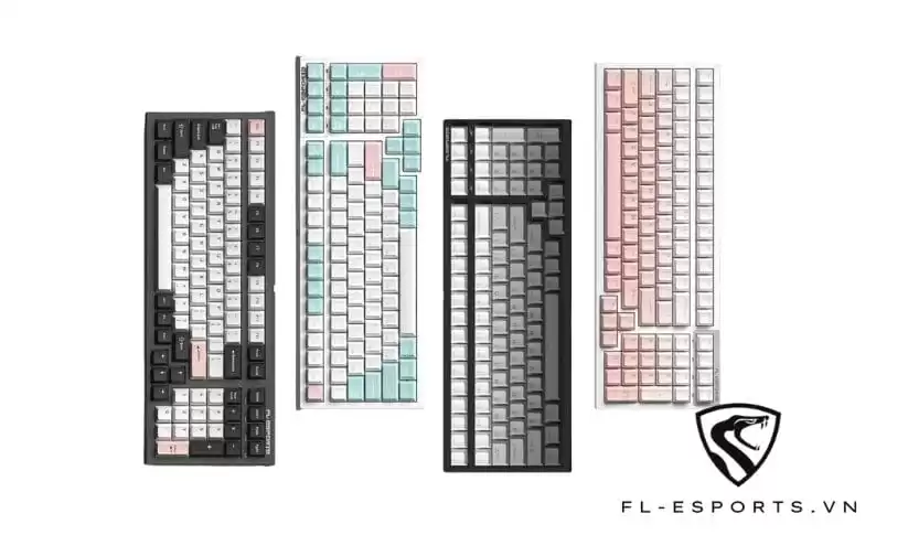 fl esports fl100 cpm