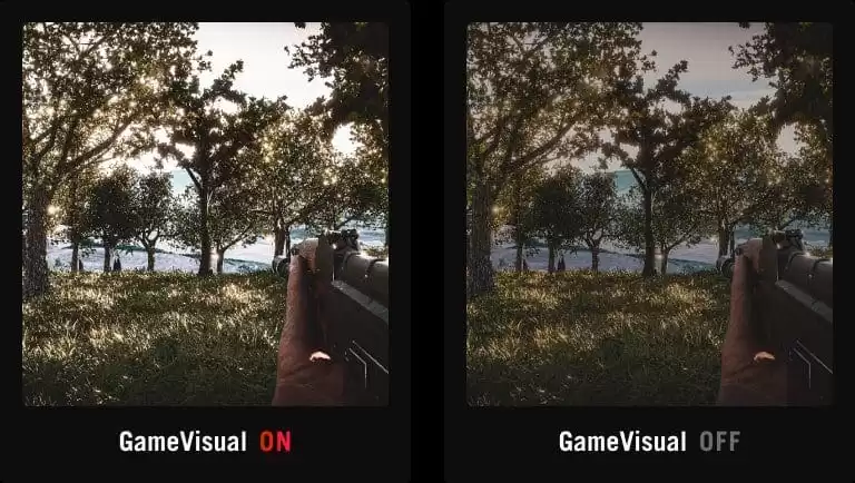game visual fps