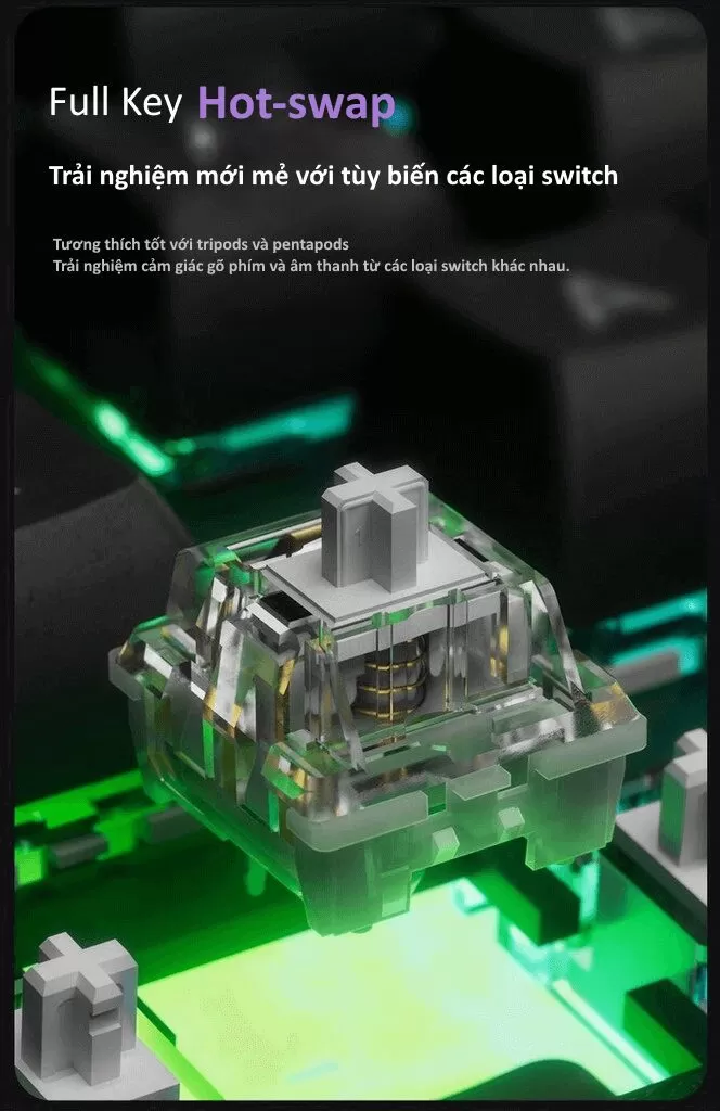 Monsgeek M1W TTD page 9 1