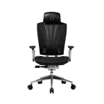 Cooler Master ERGO L Ergonomic Chair (CMI-GCEL-2019) - Black, 3D Cast Aluminium frame, 2D Aluminium Armrest, Class 4 Gas Lift
