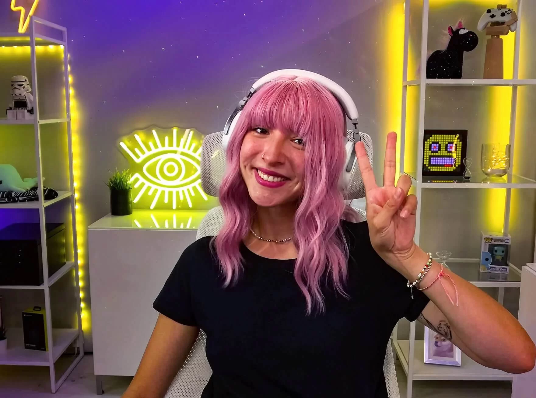 facecam pro gallery 02