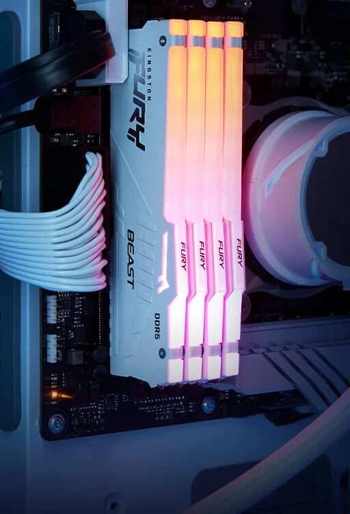ktc keyfeatures memory beast ddr5 rgb 1 sm