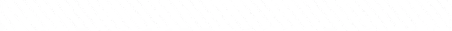 decor zebra