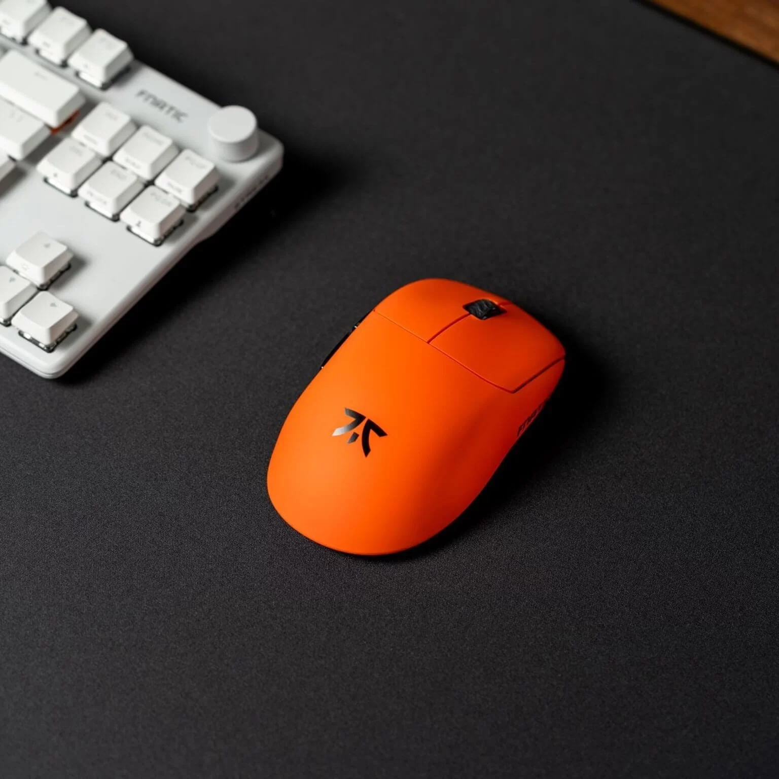 FNATIC X LAMZU THORN page pc 4