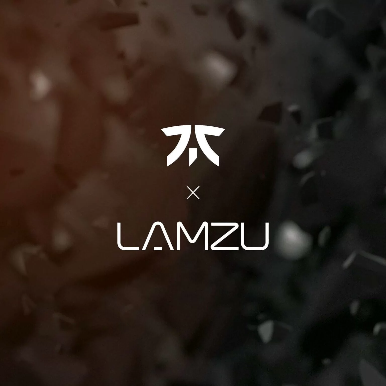 FNATIC X LAMZU THORN page pc 8
