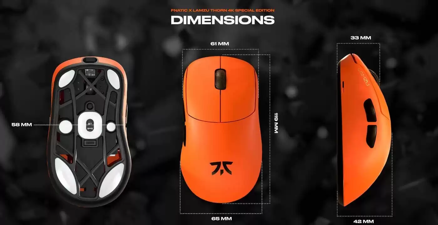 FNATIC X LAMZU THORN page pc 9