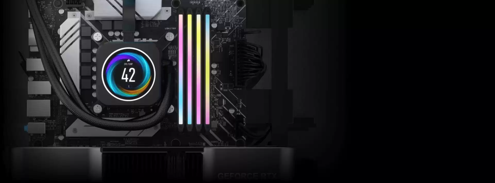 img bg panel05 profiles amd 1