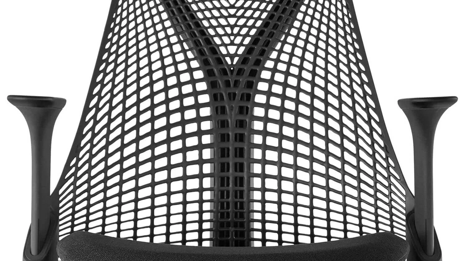 sayl feature 01