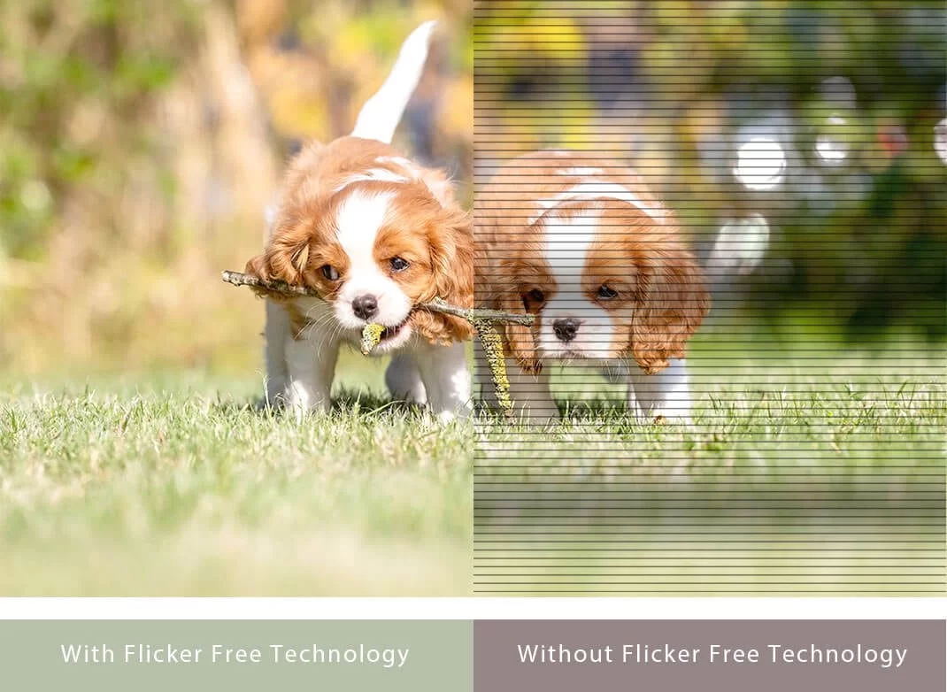 flicker free