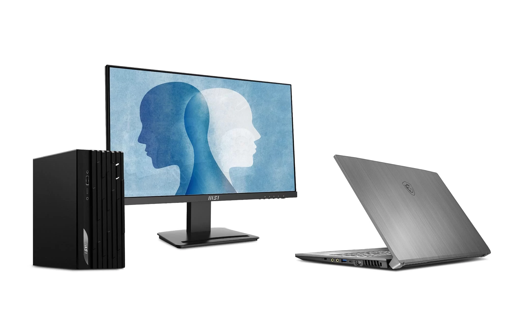 msi pro mp243 dual sources