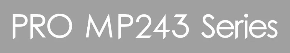 msi pro mp243 name