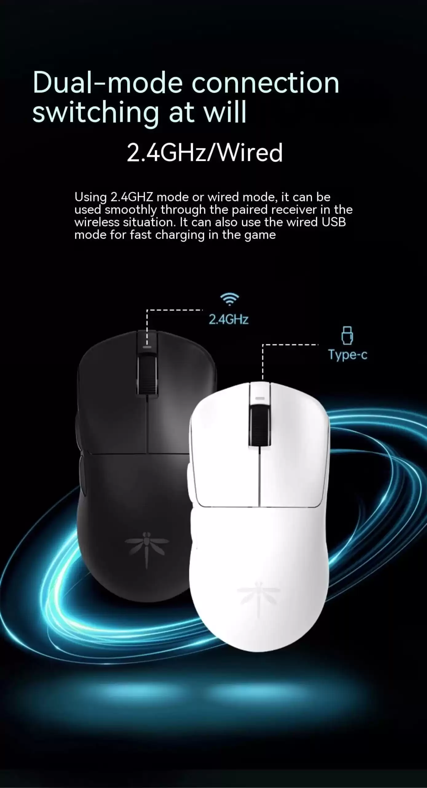 VGN Dragon Fly page mobile 13 scaled