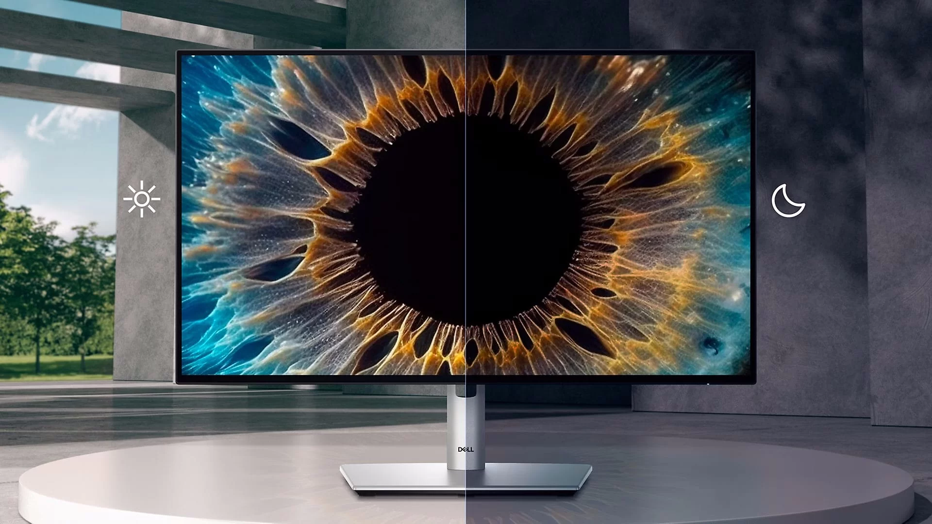 ultrasharp u2424he pdp ambient light dynamic