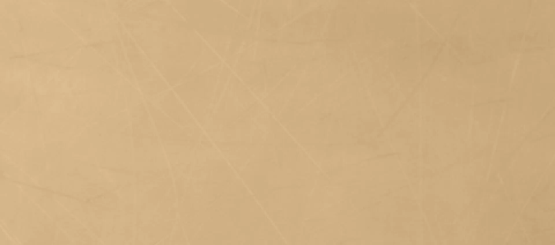 csk bronze bg02