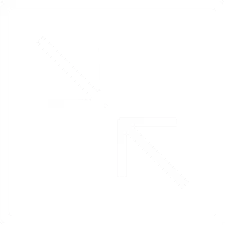 icon1